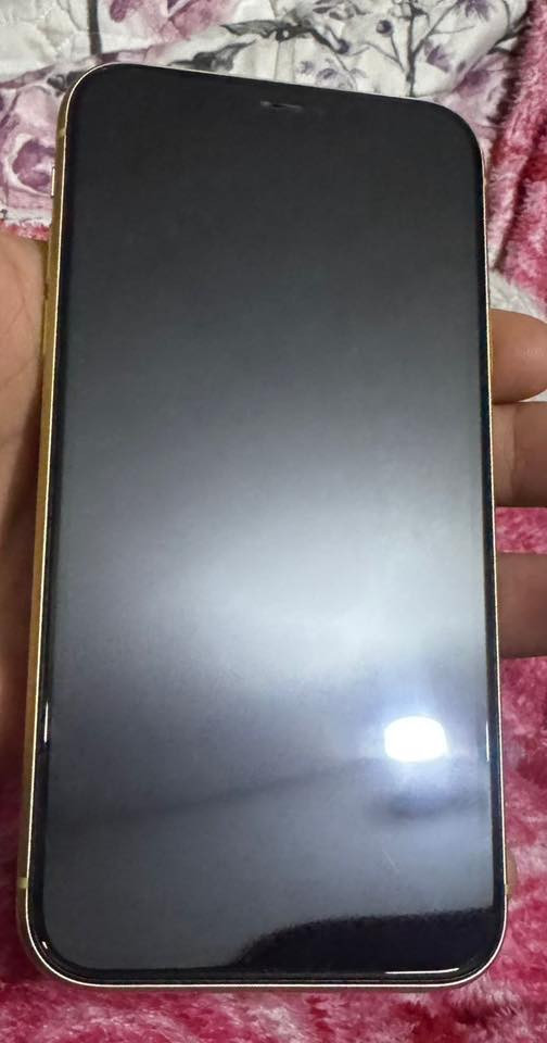 السلام 11 برو فقط مبدل بطاريه اصليه وكاله جهاز نضيف كلش سعر 
225 
***********
