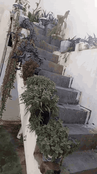 بيع مستعجل مستعجل وسعر مناسب  دار 100متر مربع بلديه😍غرفه نوم وهول ومطبخ وصحيات واستقبال وغرفه بل قطا ثاني«مخزن» 😊 موقع كركوك منطقه 55 قريب من ثانويه الاصمعي+صيدليه القاضي+ماركت المحمدي كلها خدمات بصفك وقريب وعلى طريق الكوسترات سعر 48 وبي مجال 
للتواصل واتس 
***********
