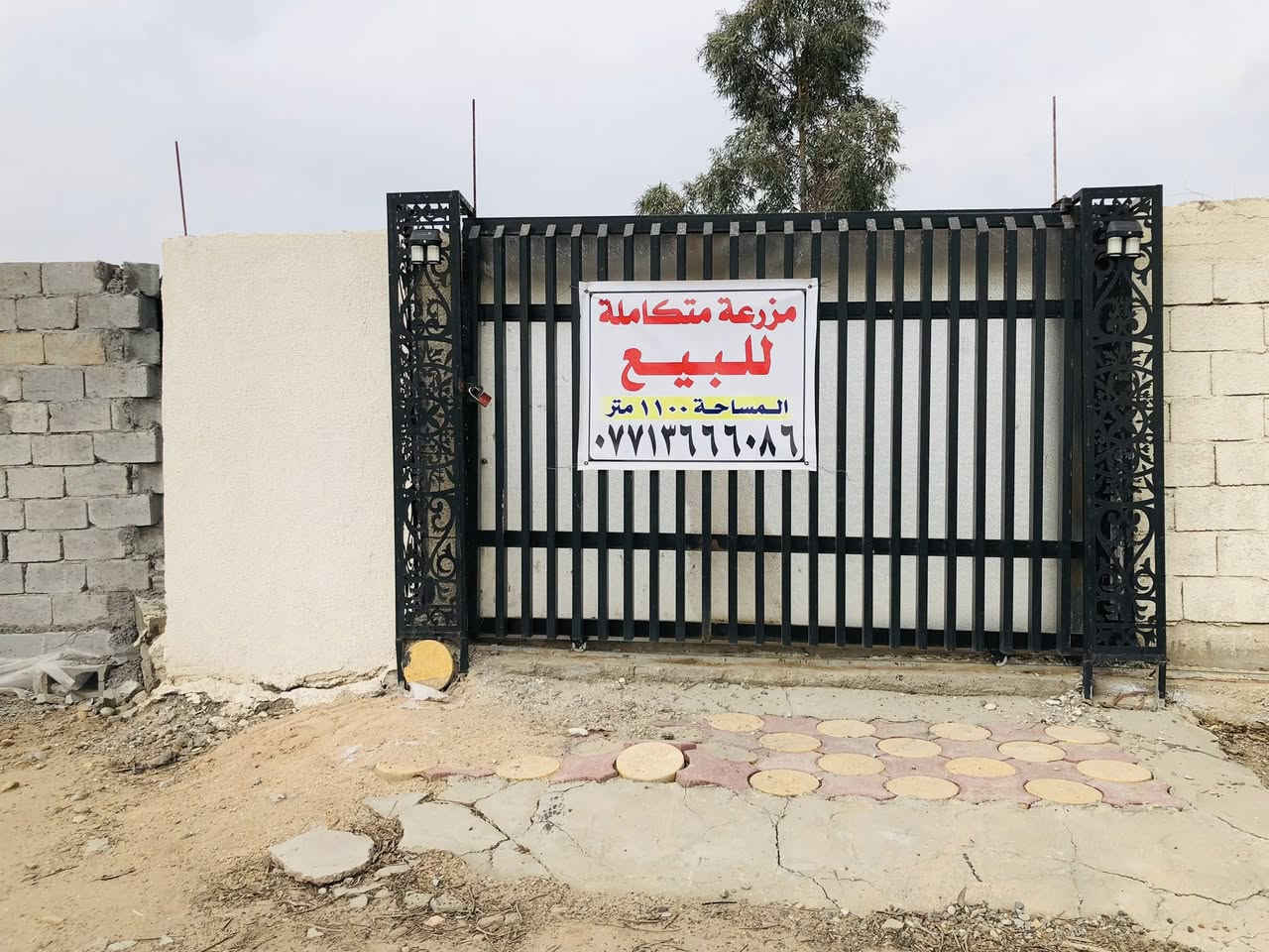 السلام عليكم من رخصه ادارة الكروب المحترم 

عندي مزرعة مساحته 1100 متر سند 25 على

طابو الزهور بسمي (( الواجه 33 / 35 نزال )) 

العنوان : بغداد / الراشدية / السوامره مجاور البحيره )

بيه مدخلين امامي على شارع تبليط 

ومدخل خلفي على فرع 

الخدمات / كهرباء وطني + سحب مولد + 

الماء بدون ماطور قوي + انترنيت + منظومة كامرات

                           👇🏻التفاصيل 👇🏻

تحتوي على {{ غرف عدد 3 مع كافه وسائل الراحه 

من سبالت ومبرده وثلاجة ومراوح وماطورات ماء 

+ مطبخ متكامل الخدمات وغراض الشوي 

+ مجمع صحيات شرقي وغربي متكامل 

العاب اطفال ترفيه + كعدات استراحه 

خارجيه + اقفاص مال محميات للحيوانات والدواجن

منظومة مرشات سقي للارض 

السعر ب 180 مليون وقابل للتفاوض 

رقمي ***********  

[[ مصوره فديوات واضحه + صور + موقع المزرعه 

منطقه متكاملة الخدمات ]]
