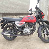 بوكسر جبلي • موديل ٢٠٢٢ • أوراق أصلية