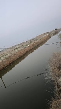 بصره أبي الخصيب باب العريض • ٥٢٥م • طابو ملك صرف