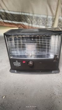 صوبة توربو • نظيفه • فطر بلجام