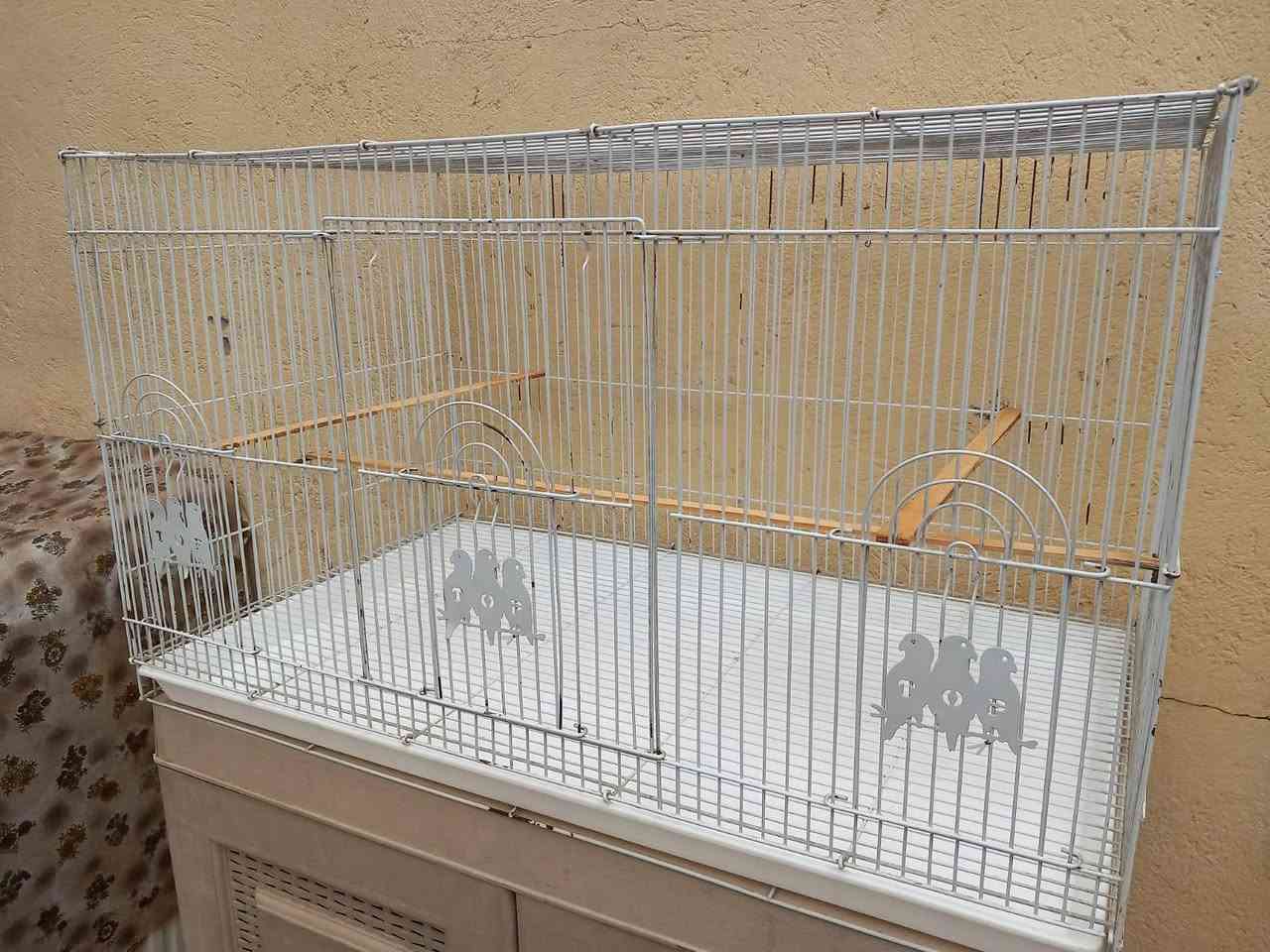 للبيع قفص نضيف عرضه 75 نزاله 45 وطوله 45 اني خذيته من سوك الغزل 25 الف وهسه همين رايده 25 وبيء مجال شيء بسيط


**إذا كنت صاحب هذا الإعلان وتريد حذفه لأي سبب، رجاءا أرسل رسالة إلى الدعم الفني**