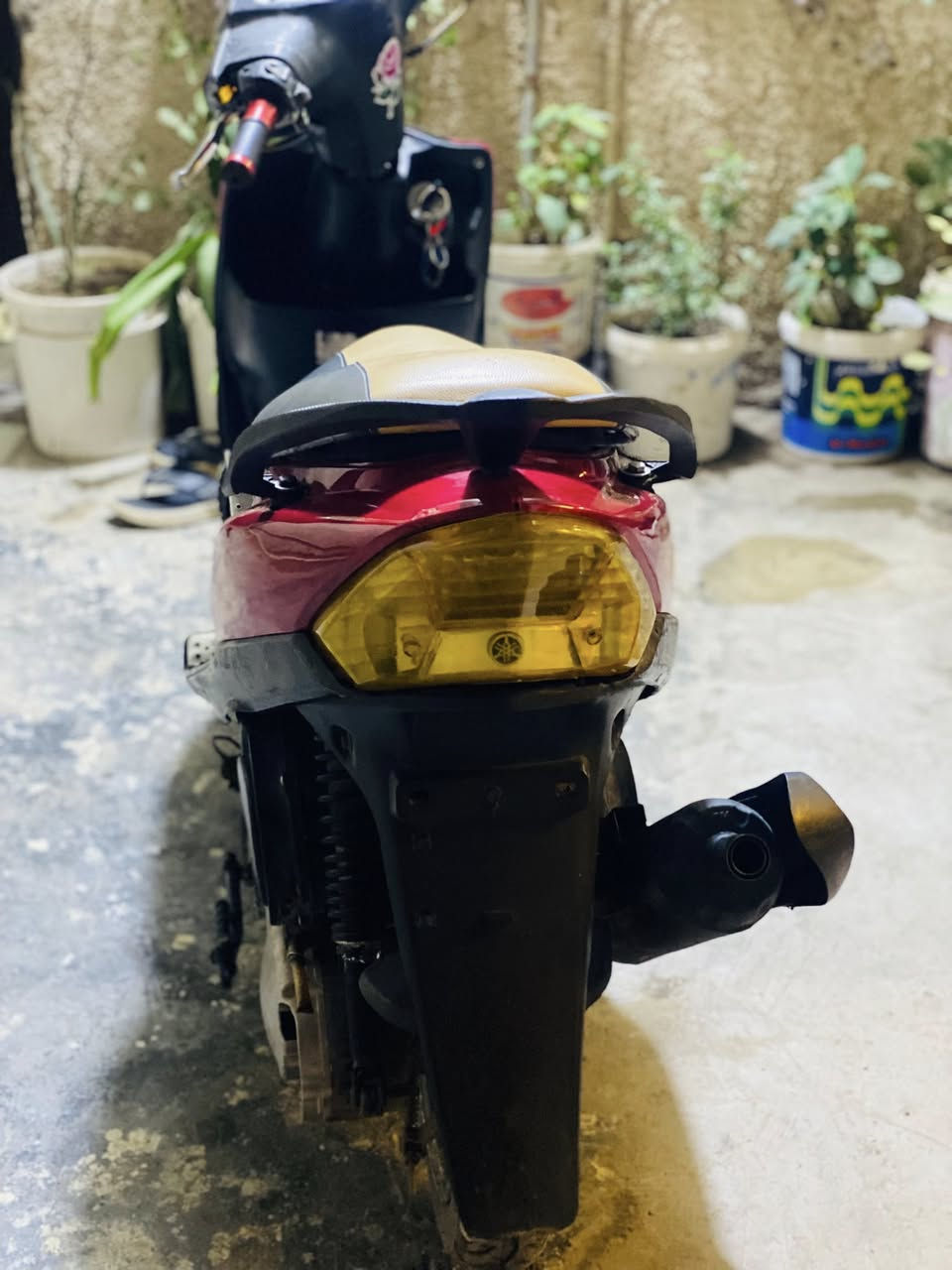 دراجه ماكس عدله للبيع 
المكينه بلاديه فقط بوشه ٥٥ 
كفرات مختمه 
***********
بغداد الحسينيه
