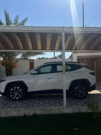 ٢٠٢٤ • بغداد الدورة • بدون دواخل