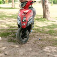 ثعلب • سلف شغاله • كفرات تعبانه