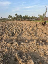 الفلوجه الشهابي • سند زراعي • ٢٠٢٤م