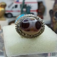 سليماني هندي • عنينتين • اركيلة