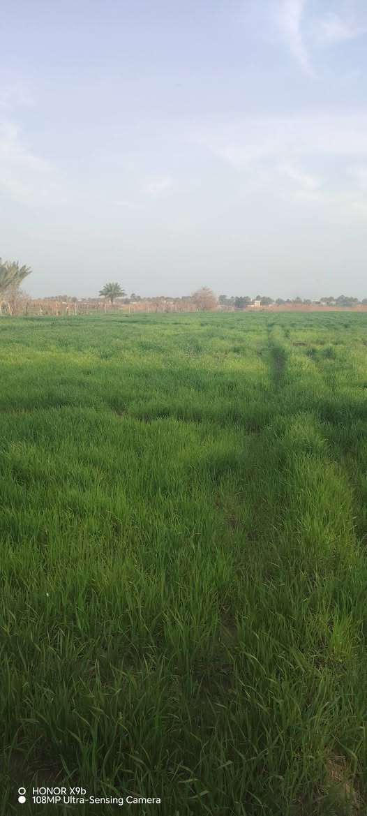 ارض زراعي للبيع قرب سد الفلوجه 
2 دونم الشارع 10متر الدونم 85 وبيه مجال
عقد زراعي مجدد
التواصل عل أرقم التاليه
ه‍‍ (***********)ه‍‍ (***********
