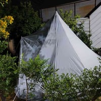 خيمة هرمية • قطر ٤م • ارتفاع ٢٢٠سم