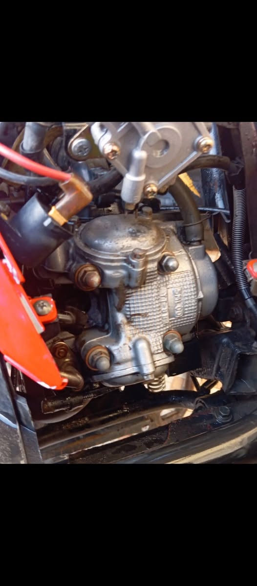 السلام عليكم
سكنس فحل للبيع

الدراجه نكره سلف بكل وقت 

بيها بس  الروله ساحكه مال كلج الامامي والدراجه ما مفتوحه

البجم مالتها  الابلادي موجود 

 سعره475وبيها مجال 

رقم وتساب ***********
