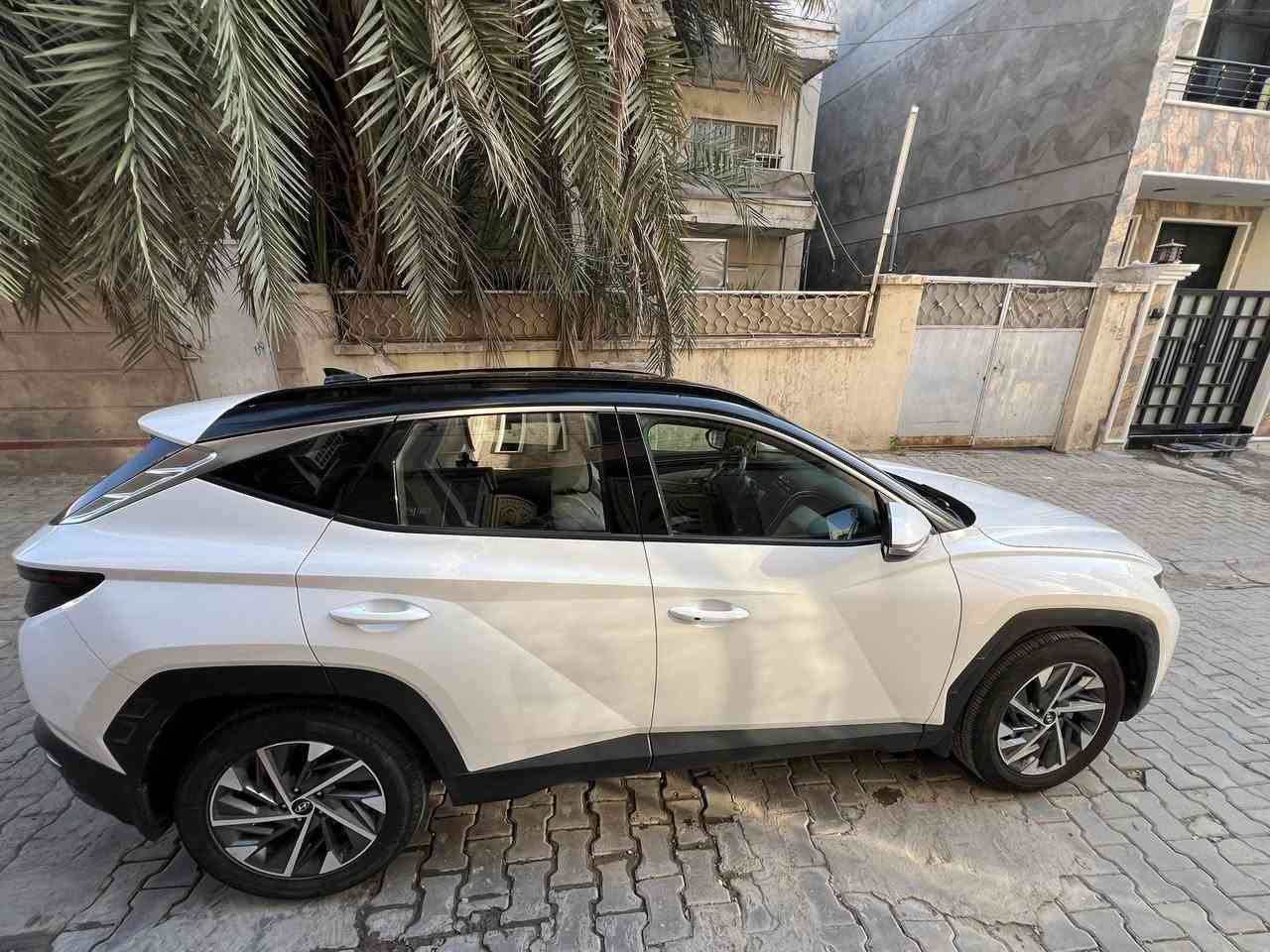 للبيع توسان 2023
فول مواصفات – خليجي 
مكفولة كفالة عامة من عدة بارد
: قد إصبع 

المواصفات:
• تشغيل عن بُعد
• بانوراما عله كبر لقماره
• مرايا شفط
• 3 وضعيات قيادة
• قطعتين تبريد
• وبعد بيه مواصفات خير من الله
- عنواني بغداد الكاظمية

‭0789 266 7725‬
