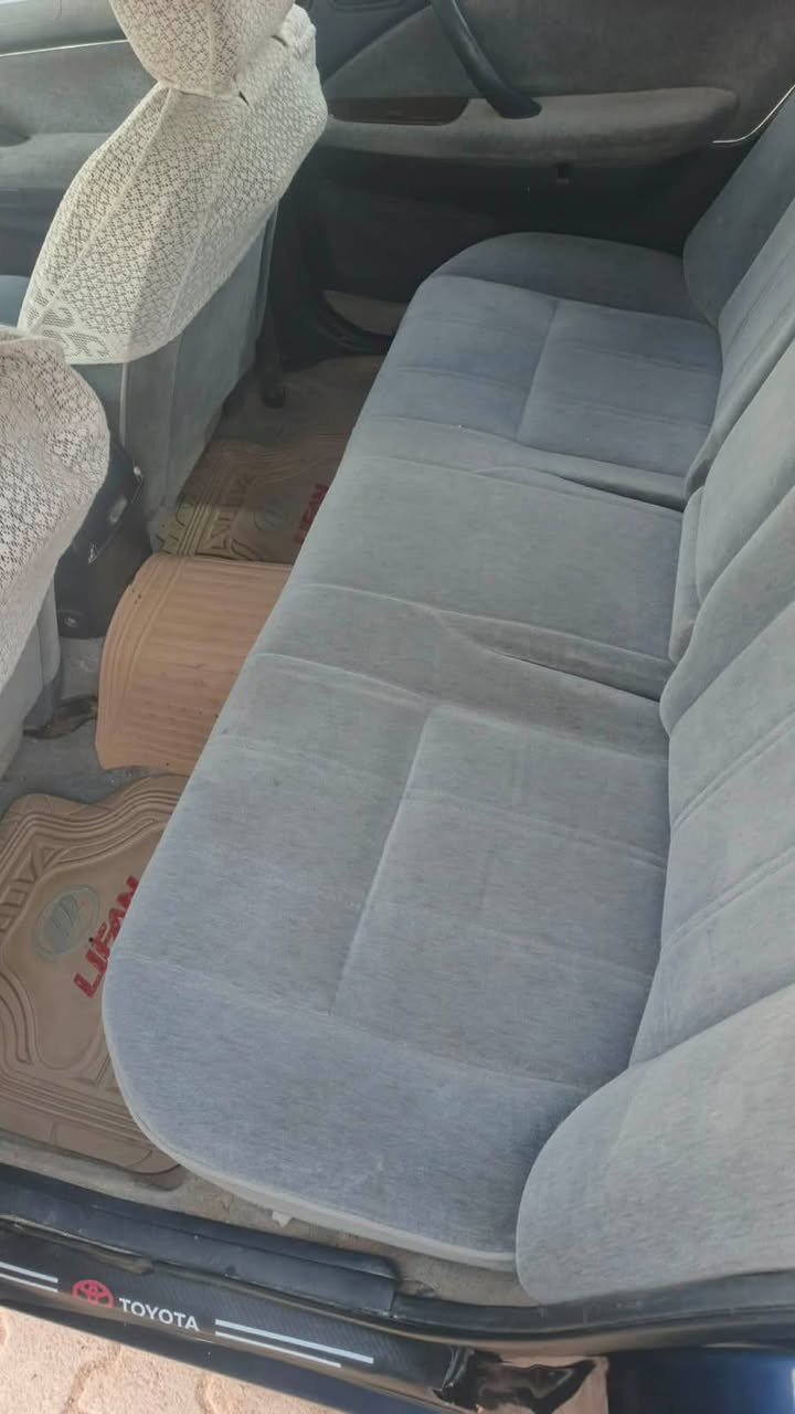 السلام عليكم راس ثور تكم كفاله نكليزي للبيع عنوان نجف ‏‪+9647802796116‬‏
