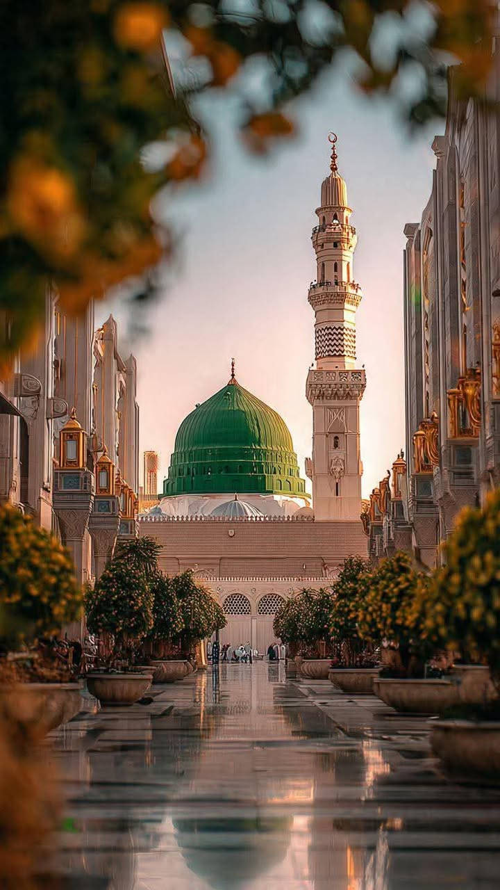 🌙✨ بشرى سارة للراغبين في أداء العمرة! ✨🌙
***********  واتساب +اتصال
نُعلن على بركة الله عن فتح باب التسجيل لـ:
🕋🕊️   عمرة 🕊️🕋
🧳✈️ رحلاتنا متوفرة عبر البري والطيران
مع #سركه رحله القيثاره_للسياحة_والسف 🌍🌟

🔷🔹 البرنامج الأول | عمرة البر 🚍 🔹🔷
💰 السعر: 700دينار 🪙
📦 يشمل:
🏨 2ليال في المدينة المنورة 🕌🌴
🕋 5 ليالٍ في مكة المكرمة 🌆🕋
🍽️ ثلاث وجبات يوميًا 🍛🍞🥗

🔷🔹 البرنامج الثالث | عمرة الطيران 🛫 🔹🔷
💰 السعر: 900دينار 💸
📦 يشمل:
🏨 3ليال في المدينة المنورة 🕌
🕋 7 ليالٍ في مكة المكرمة 🕋🌙
🍽️ ثلاث وجبات يوميًا 🍲🍞

🎁💼 مميزات جميع البرامج: 💼🎁
🕌 زيارات دينية لمواقع مقدسة
🛂 استخراج التأشيرات بكل سهولة
🚌 باصات حديثة ومكيفة. VIP
🍛 وجبات متكاملة يوميًا
🛏️ إقامة مريحة وراقية
🎒 حقيبة صغيرة أنيقة
🩳 أحرامات للرجال
🆔 بطاقة تعريف + وشاح مميز
📆 تاريخ الرحله يوم 18/6/2026. 
📆 تاريخ الرحلة يوم 20/6/2026
📆 تاريخ الرحله يوم 22/6/2026
📆 تاريخ الرحلة يوم 25/6/2026
📍🗺️ عناوين فروعنا: 🗺️
📌 الحلة – الكورنيش 🏢 (مجاور سنتر ليمونه 
📲 للحجز أو الاستفسار: 📲
***********  واتساب +اتصال

 

🌟🕊️ لا تفوّت فرصة هذه الرحلة الإيمانية المباركة 🕊️🌟
🕋✈️ مع شركة روعة المهندس، رحلتك معنا في أمان واطمئنان 🔐💼
