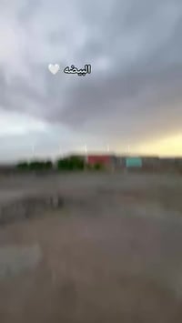 نامه • نضيفه • كلك غراض