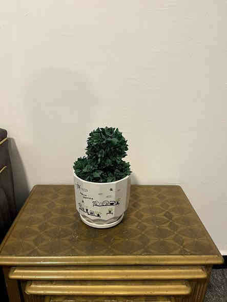 طبلات صاج الأصلي 4 قطع نضيفات السعر 50 وبيهن مجال مكاني بصره بياسين خريبط هاذ رقمي ***********
