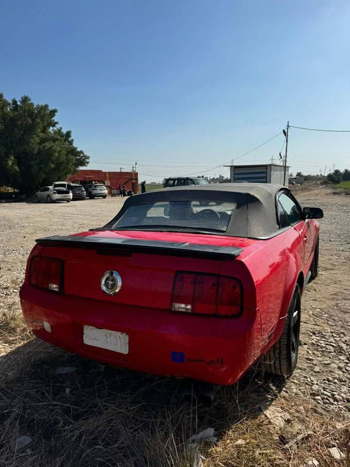 السلام عليكم فورد موستنك 2008 رقم بغداد صدامي سنويه عضم عاج تحويل مباشر محرك كير كفاله جدد كلش شلعتها كلش قويه ماشاءالله صدر نضيف تخم تاير جديد باتري جديد سلف جديد كهربائيات كلها شغاله كشف كهرباء شغال راعيها يطلب 5 اوراق تنزل من سعرها السعر قفل من الاخير 55 مكاني كوت ***********
