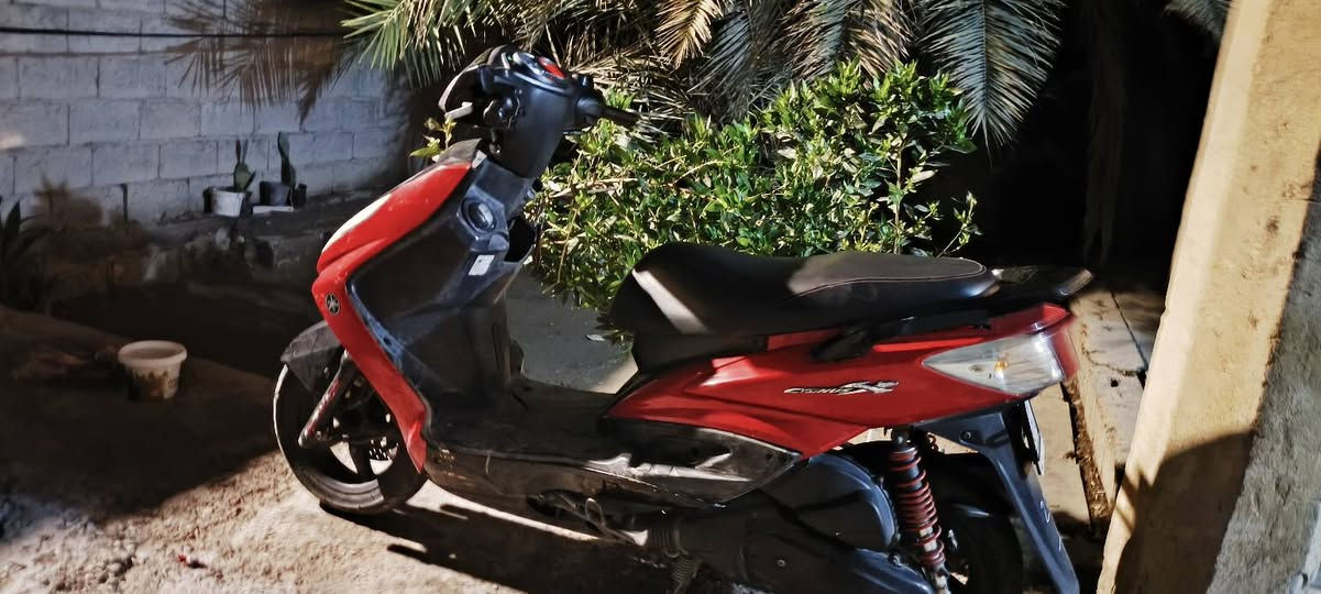 "السلام عليكم"
دراجه سكنس كفاله عامه انگر سلف واطلع وين مايعجبك دراجه نوزل دراجه والله من المدرسه للبيت ودراجه نضيفه كلش العنوان بغداد الزعفرانيه جسر ديالى 
***********
