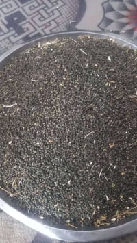 بزر بانيه • درجة أولى • كربلاء الحسينيه