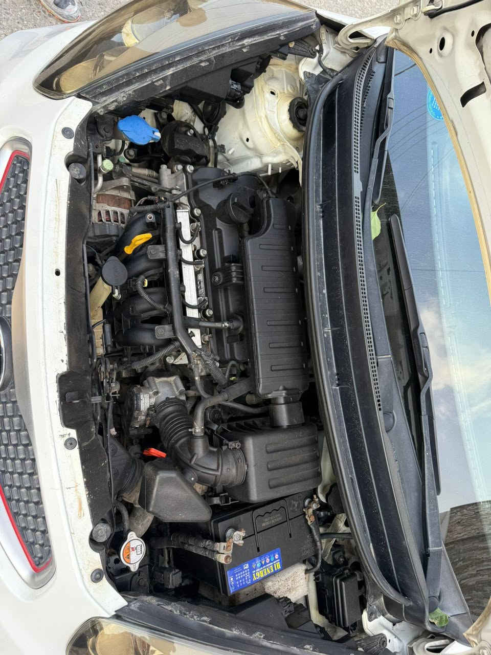 البيع كيا بكنتو 4 سلندر المرغوب سياره فول و كلين بس بي 3 مكانات بارد اصغار سعر (98)$ سياره اب اسمنه و محرك ما مفتوح مكاني كركوك
***********
***********
