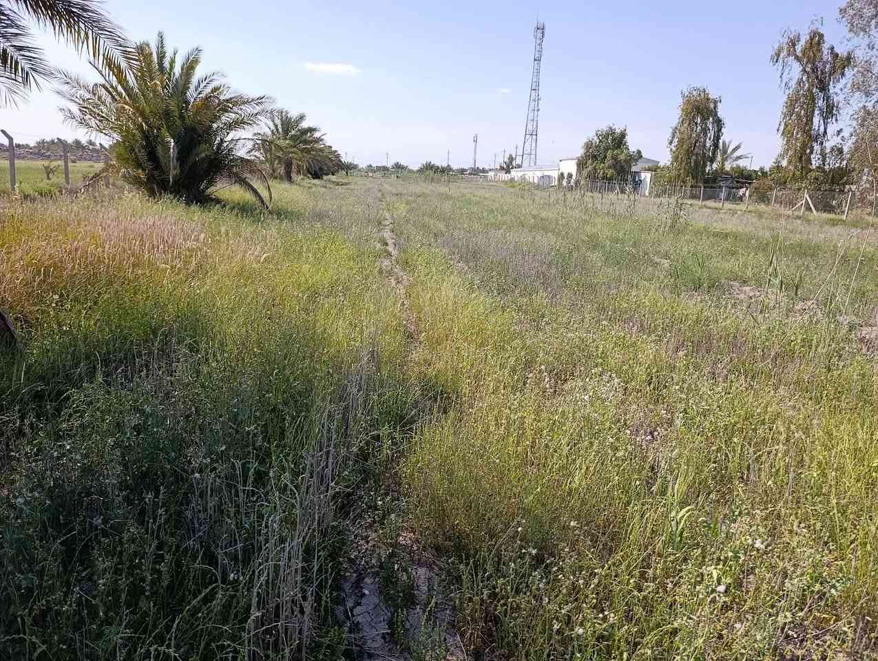 متوفر 3 دونم وربع مجاور محطه  البوعسل قرب مزارع طيبه   عقد 35 سياج بي ار سي ماء وكهرباء ونخل بيها  عرضها 43 م ونزال 207 م للبيع
متوفر 3 دونم وربع
 مجاور محطه  البوعسل 
 عقد 35 
سياج بي ار سي ماء وكهرباء ونخل بيها 
 عرضها 43 م ونزال 207 م

 للبيع 
الاستفسار 
***********
***********
