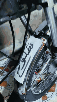 تايكر • موديل ٢٠٢١ • أوراق سكنر