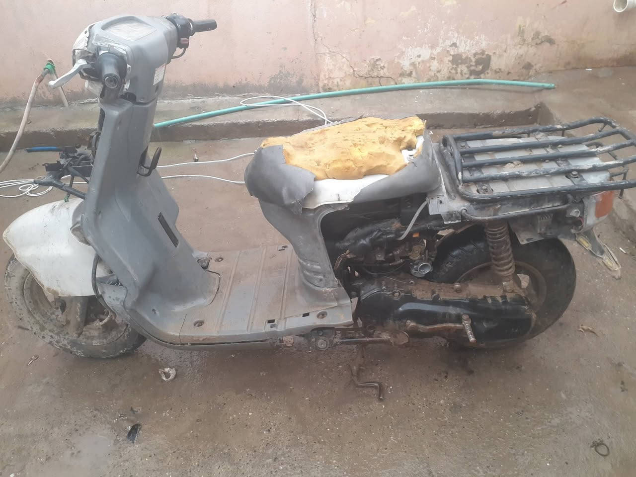 للبيع مراوس السعر 150 بها مجال مكاني الانتصار ‎*********** ***********
