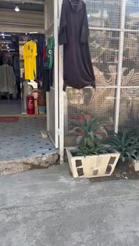 اخوان بيت للبيع تشجير. العنوان العبيدي شارع الامام (ع) المساحة190م.   ...