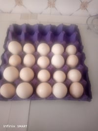 بيض دجاج هاراتي للبيع للتواصل 07706124651