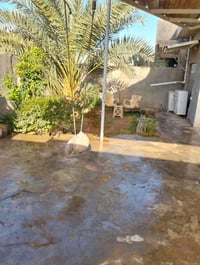 بيع بيت ركن على شارع ماهر   المساحة  230/متر  خدمات كامله    يصلح مشتم...