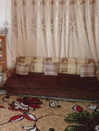 تخم • للبيع • دهل اوران