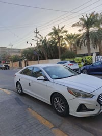 سوناتا • ٢٠١٩ • وارد أمريكي