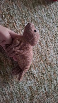 لعبة • متفرقات