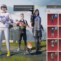 حساب • بوبجي • ٢٧ سلاح