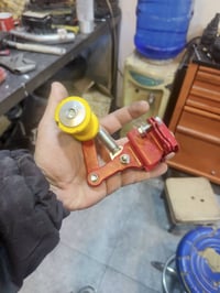 للبيع عقل راضي فصله بكره زنجيل رياضي 07760453590