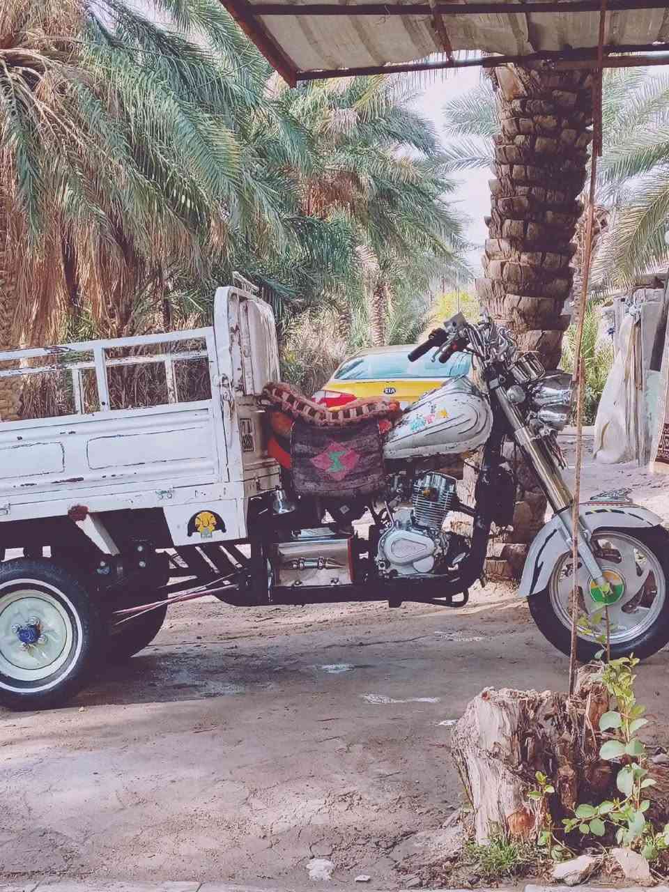 سلام عليكم ستوته مديل 7 للبيع 
مكان الرميثة  الاستفسار على هذا الرقم  ‏‪***********‬‏
