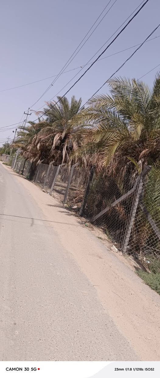 السلام عليكم تفاصيل البستان داخل الصور للاتصال ***********
