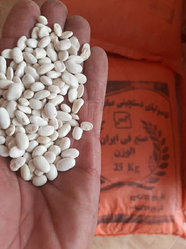 سلام عليكم ورحمة الله وبركاته يوجد فاصواليه أيراني كميه خير من الله بسعر مناسب رقم ***********
