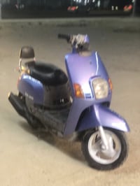 بوليس • شرط ومعدل • كربلاء فريحه