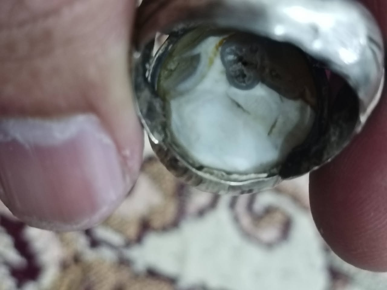 خام طبيعي أصلي قديم جداً سلماني عطف راقي
صياغة فضه عراقي توصيل مجاني لجميع المحافضات 45الف


**إذا كنت صاحب هذا الإعلان وتريد حذفه لأي سبب، رجاءا أرسل رسالة إلى الدعم الفني**