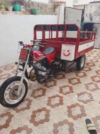 ستوته • موديل ١٤ • اوراق