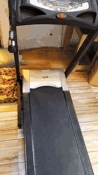 جهاز جري (Treadmill) مميز للبيع – نظافة تامة 🏃‍♂️
​لأصحاب الرشاقة والرياضة المنزلية، جهاز جري مستخدم بحالة ممتازة جداً (نظيف جداً) وشغال 100%، جاهز للاستخدام المباشر.
​أهم مواصفات الجهاز:
​نظام الانحدار (Incline): تحكم كهربائي بالميل لزيادة حرق الدهون وتقوية العضلات.
​البرامج: يحتوي على 10 برامج تدريبية متنوعة (سرعة وميل) تناسب جميع مستويات اللياقة.
​لوحة التحكم: شاشات ديجيتال لعرض (السرعة، المسافة، الوقت، السعرات، ونبض القلب).
​التحكم الذكي: أزرار سرعة وميل مباشرة، مع أزرار تحكم إضافية على المقابض الجانبية.
​التصميم: قابل للطي لتوفير المساحة، مزود بمفتاح أمان للتوقف الطارئ.
​💰 السعر: 350 ألف دينار
📍 الموقع: البصرة.
​للتواصل والاستفسار *********** واتس اب
