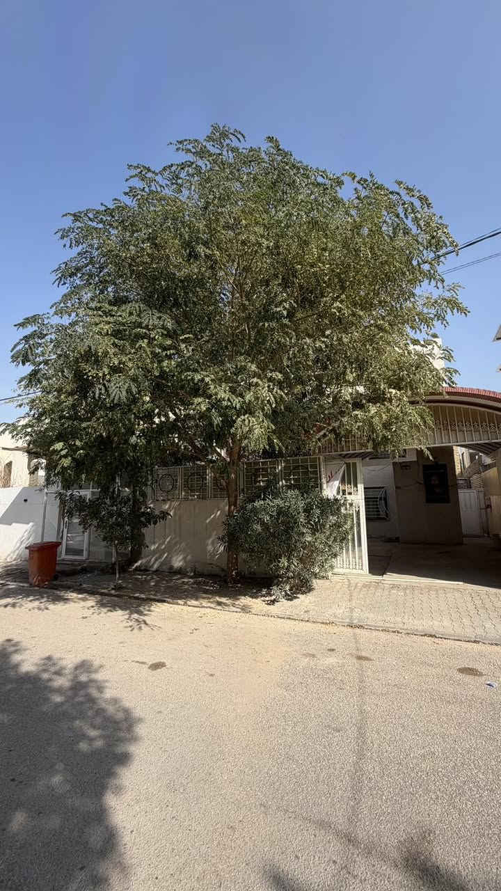 #دار_للبيع🏠

#الموقع : مجمع الامرات اوله 🏘️300 متر علا ساحه

#المساحه : كل الدار 300 م الوجه 15 
نزال 20✨

#التفاصيل : طابقين
شارع 12+🪴
يتكون الدار من غرفه+صاله مطبخ استقبال +مجمع صحيات++منور طابق الثاني 3 غرف  وصاله  وصحيات …………

🔻نستقبل كافة العروض السكنيه والتجاريه 🔻

#مكتب_دار _السلام للوساطة_العقارية 🌍
تسعدنا زيارتكم لمكتبنا 
📍في النجف - حي السلام- شارع ابو دجاج 📍

للمزيد من المعلومات والتفاصيل عن العقار والمعاينه الميدانية يرجى الاتصال على 
(***********) (***********)
