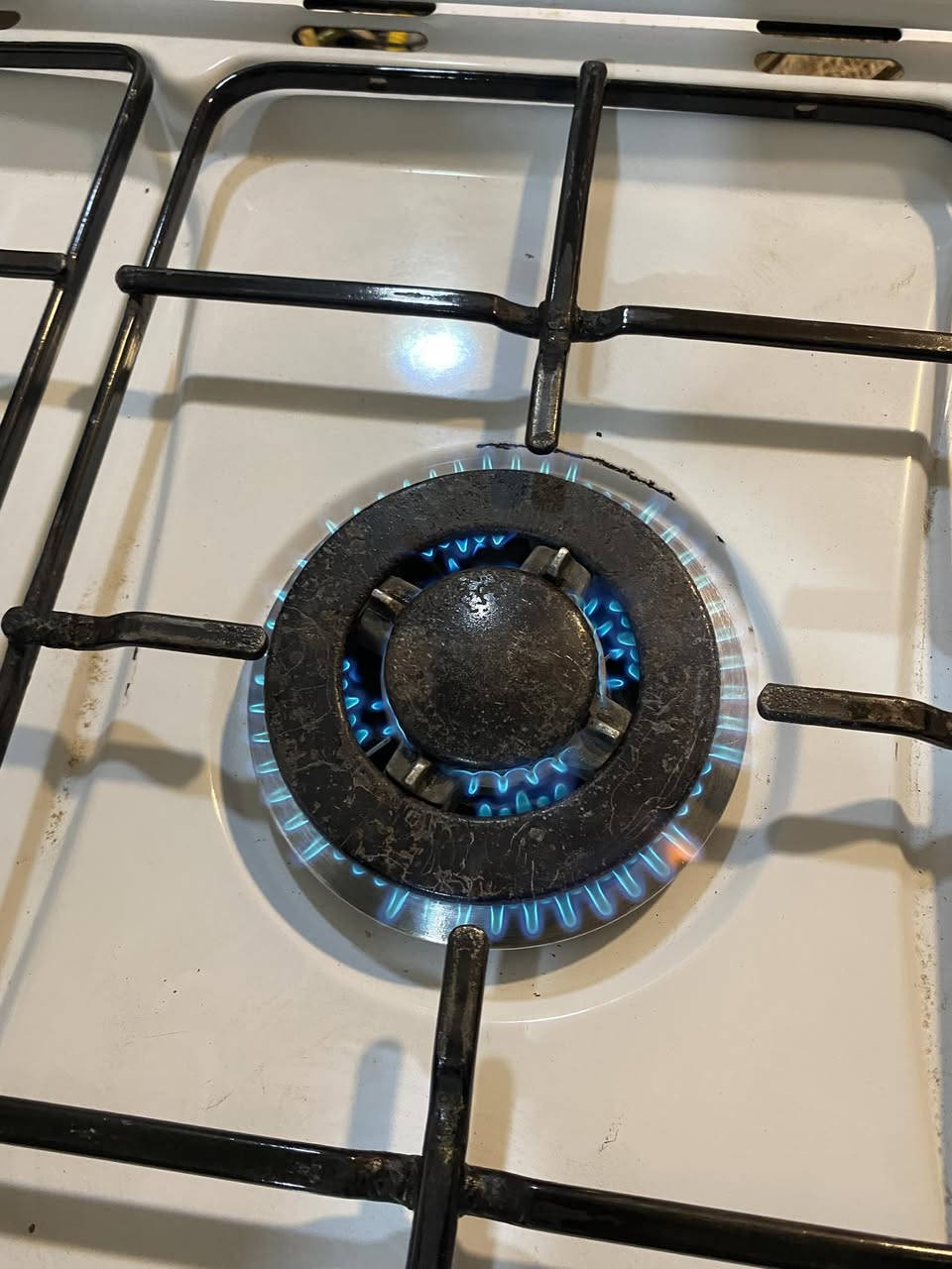 طباخ خمس عيون فرن كلش نظيف نار تخبل
السعر ١٦٠ مع توصيل وبي مجال


**إذا كنت صاحب هذا الإعلان وتريد حذفه لأي سبب، رجاءا أرسل رسالة إلى الدعم الفني**