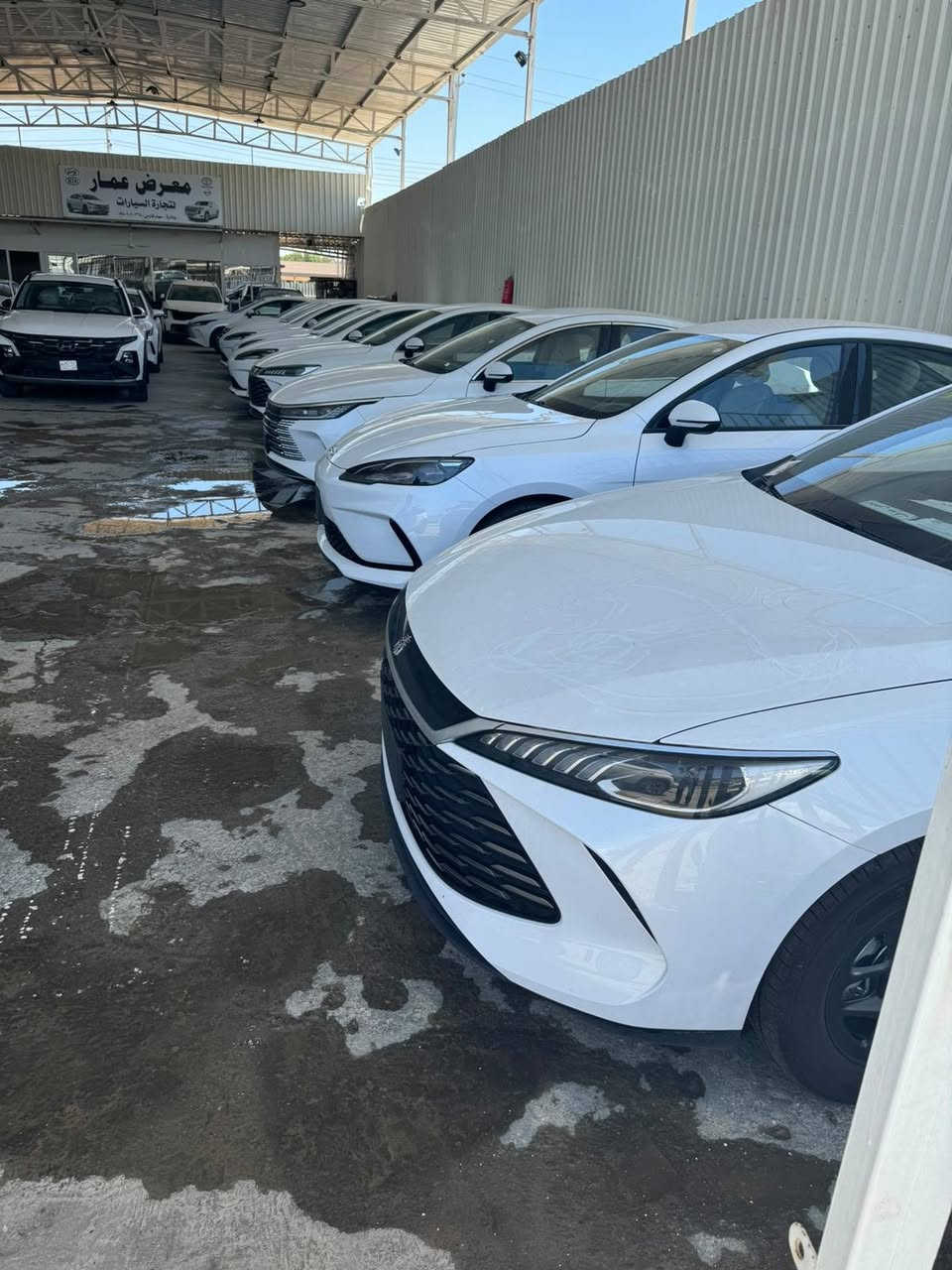 بشرى سارة📢📢
إلى جميع زبائننا الكرام في النجف الأشرف اشتري راحتك وكون باأمان سيارتك ويانه صارت مضمونه 
✅ اطمئن مع سيارات BYD... ضمان موثوق وخدمات ما بعد البيع تمنحك راحة البال في كل رحلة ⬅️ ضمان حقيقي مع قطع غيار اصليه  محرك مع بطارية  مدة سنتين ⚙️🔧 
نعلن عن وصول سيارات byd
▫️ سيل فايف 
▫️ جن بلس
 مع ضمان الوكالةعلما ان العدد محدود جدا لتواصل والحجز والاستفسار 
على الرقم 
☎️ *********** وتساب
