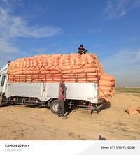تبن • كمية مفتوحة • سعر الزواج