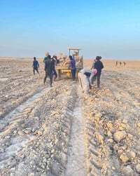 يوجد كادر عمل تصفير بوت وحدل وصب تنضيف بستان تقليم شجر انتصل وتدلل 078...