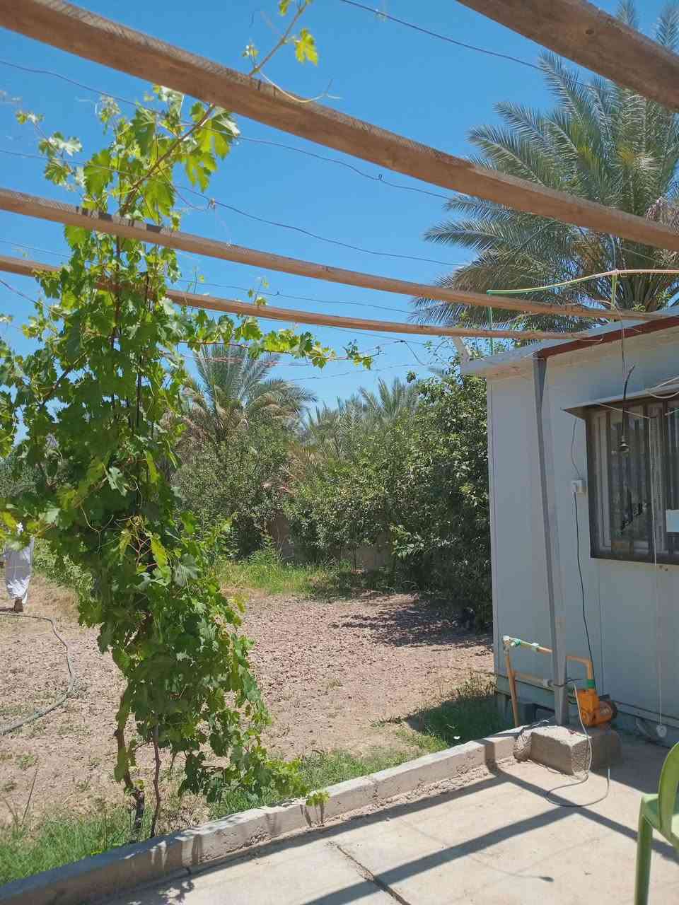 1900 متر طابو زراعي سند ٢٥ تحويل مباشر بائسم المشتري وليس اقرار محكمة 
تحويل اسهم حصص تحتوي على نخيل وأشجار تفاح وحمضيات متنوعه 
خدمات كامله كهرباء ماء اساله وسقي العنوان بغداد الراشدية 
*********** ابو سجاد
