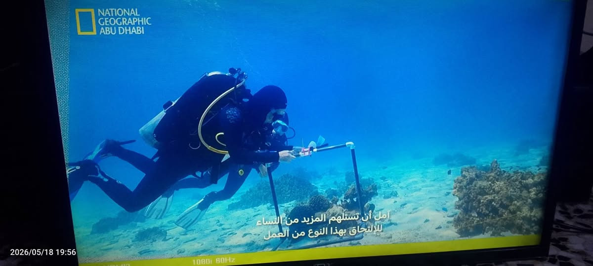 بيع بلازمه حجم ٣٢ سعر ٦٠ بدون نت  وحجم ٤٣بيه خط تصير للكامرات بدون نت سعر٥٠ مكان الغزاليه الفروسيه البكريه يم جامع البكريه رقم ***********
