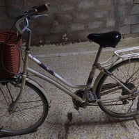 عبد الحليم • جديد • حجم ٢٤